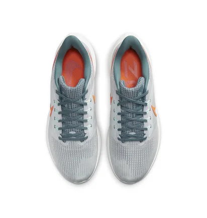 Кросівки чоловічі Nike Air Zoom Pegasus 39 Grey Dh4071-003