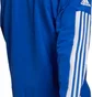Куртка мужская Adidas Sq21 Pre Jkt Blue Gp6445