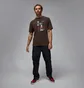 Футболка чоловіча Air Jordan M J Reissue Gx Ss Crew Brown HJ2356-010