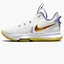 Кроссовки унисекс Nike Lebron Witness V Summit White CQ9380-102