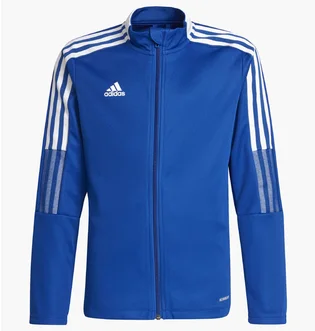 Олімпійка дитяча Adidas Tiro 21 Track Jacket Blue Gm7315
