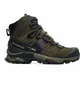 Ботинки мужские Salomon Quest 4D 4 Gtx Olive/Black 412925