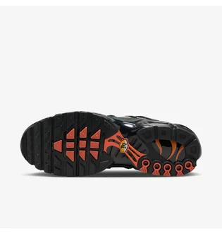 Кроссовки мужские Nike Air Max Plus Utility Brown/Black FD0670-200
