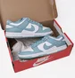 Кроссовки мужские Nike Dunk Low Retro Light Blue/White DV0833-106
