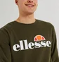 Свитшот мужской Ellesse Sl Succiso Sweatshirt Green SHC07930-506