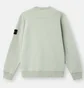 Свитшот мужской STONE ISLAND Crewneck Olive L1S156100060S0051-V0055