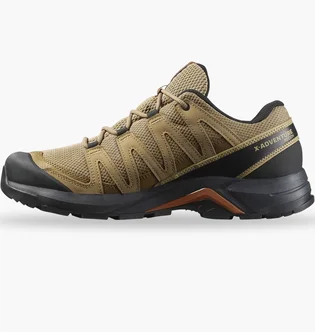 Кроссовки мужские Salomon X-Adventure Recon Gtx Beige/Black L47813100