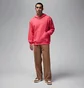 Худи мужское Air Jordan Wordmark Tokyo Fleece Pink FZ1172-629