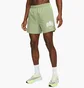 Шорты мужские Nike Dri-Fit Division Challenger 5 Brief-Lined Running Green DX0837-386