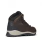 Ботинки женские Columbia Newton Ridge Plus Brown 1424692231