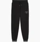 Штани жіночі Puma Class Comfort Black 691879-01