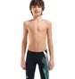 Плавки мужские Arena Sea Water Swim Jammer Black 008995-508