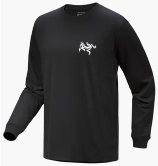 Лонгслів чоловічий Arc'teryx Kragg Sl Black X00000953702