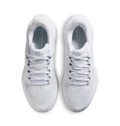 Кросівки жіночі Nike Pegasus 41 White FD2723-102