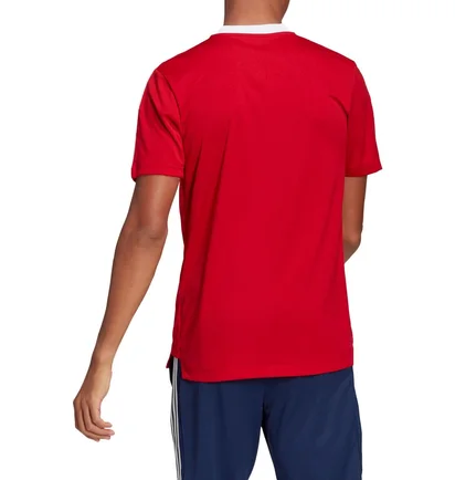 Футболка мужская Adidas Jersey Tiro21 Tr Jsy Red GM7588