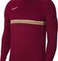 Лонгслив мужской Nike Dry Academy 21 Drill Top Bordo Cw6110-677