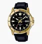Часы мужские Casio Standard Analogue MTP-VD01GL-1E