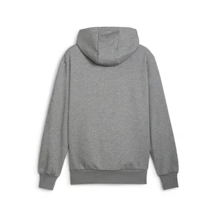 Худі чоловіче Puma Posterize 2.0 Grey 625248-05