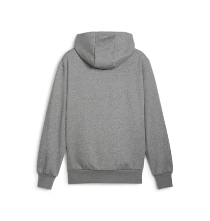 Худи мужское Puma Posterize 2.0 Grey 625248-05