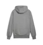 Худи мужское Puma Posterize 2.0 Grey 625248-05