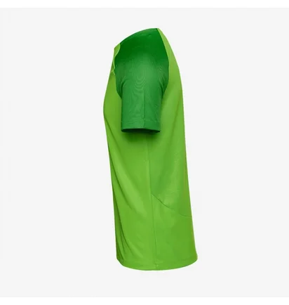 Футболка мужская Nike Dri-Fit Academy Pro Ss Top Green DH9225-329
