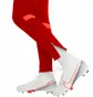 Штаны детские Nike Academy 21 Red Cw6124-687