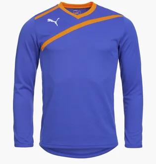 Лонгслів чоловічий Puma Goalkeeper Jersey Blue 701064-37