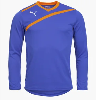 Лонгслив мужской Puma Goalkeeper Jersey Blue 701064-37