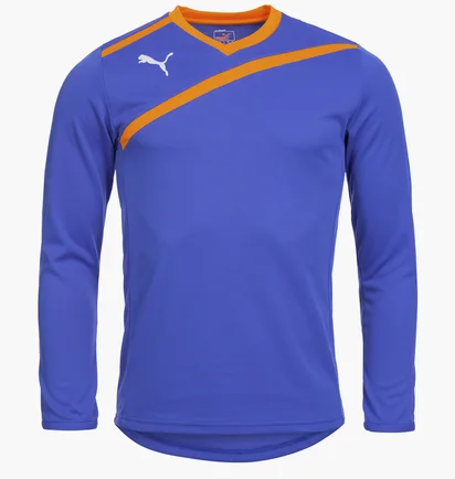 Лонгслив мужской Puma Goalkeeper Jersey Blue 701064-37