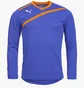 Лонгслив мужской Puma Goalkeeper Jersey Blue 701064-37