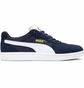 Кроссовки мужские Puma Astro Kick Lace Up Sneakers Blue 369115-03