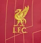 Футболка мужская Nike Fc Liverpool 2024/25 Stadium Home Dri-Fit Replika Red FN8798-688