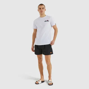 Шорты мужские Ellesse Dem Slackers Swim Short Black SHS00938-011
