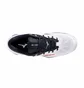 Кроссовки мужские Mizuno Wave Stealth 6 White X1GA243021