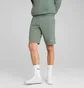 Шорти чоловічі Puma Ess 2 Color No.1 Logo Shorts 10 Green 684715-30