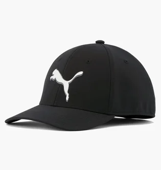 Кепка унисекс Puma Addison Stretch Fit Black 858588-01