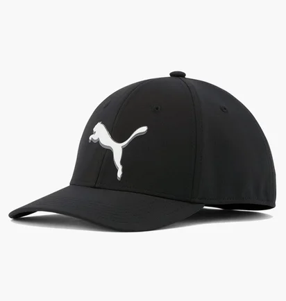 Кепка унисекс Puma Addison Stretch Fit Black 858588-01