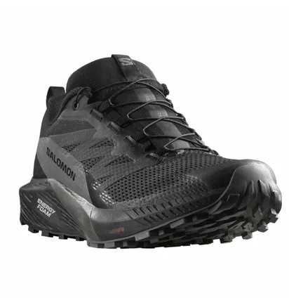 Кросівки чоловічі Salomon Sense Ride 5 Gtx Black 471472
