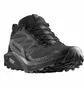 Кросівки чоловічі Salomon Sense Ride 5 Gtx Black 471472