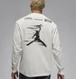 Лонгслів чоловічий Air Jordan T-Shirt Mvp Beige FZ1971-133