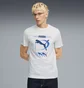 Футболка мужская Puma Graphic Execution White 691786-02