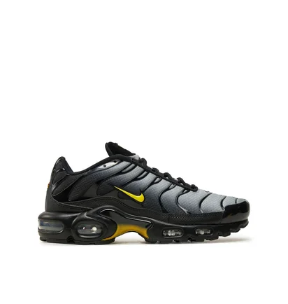 Кроссовки мужские Nike Tn Black DM0032-012