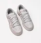 Кроссовки унисекс Nike Dunk Low Grey HJ5777-100