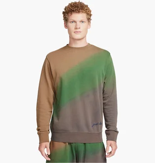 Свитшот мужской Nike Sportswear Club French Terry Crew-Neck Sweatshirt Multi FQ6142-256