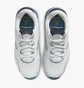 Кроссовки мужские Air Jordan Point Lane White CZ4166-102
