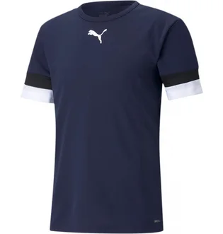 Футболка мужская Puma Teamrise Jersey Blue 704932-06