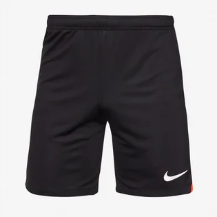 Шорты мужские Nike Dri-Fit Academy Pro Shorts Black DH9236-013