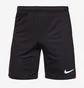 Шорты мужские Nike Dri-Fit Academy Pro Shorts Black DH9236-013