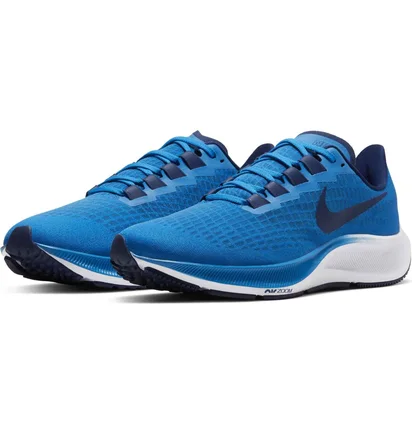 Кроссовки мужские Nike Air Zoom Pegasus 37 Blue BQ9646-400