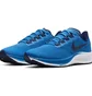 Кроссовки мужские Nike Air Zoom Pegasus 37 Blue BQ9646-400